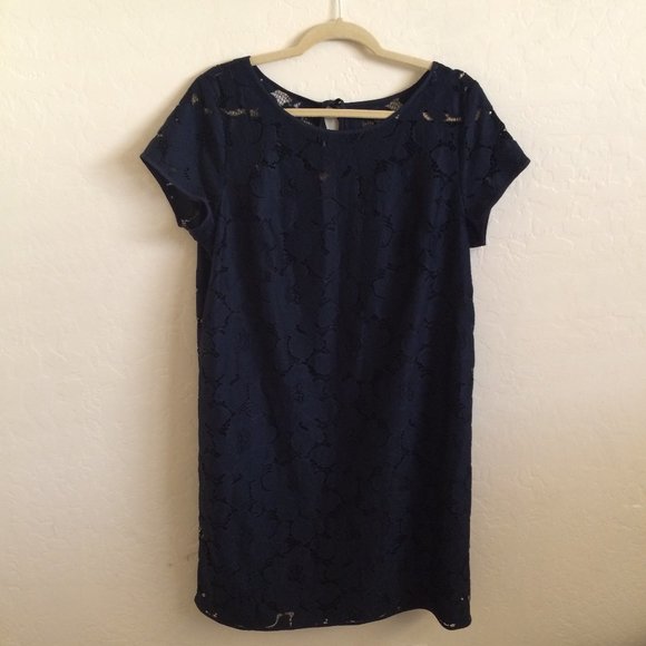 Ann Taylor Dresses & Skirts - Ann Taylor Loft Outlet Navy Blue Lace Short Sleeve Dress Women's Size 16